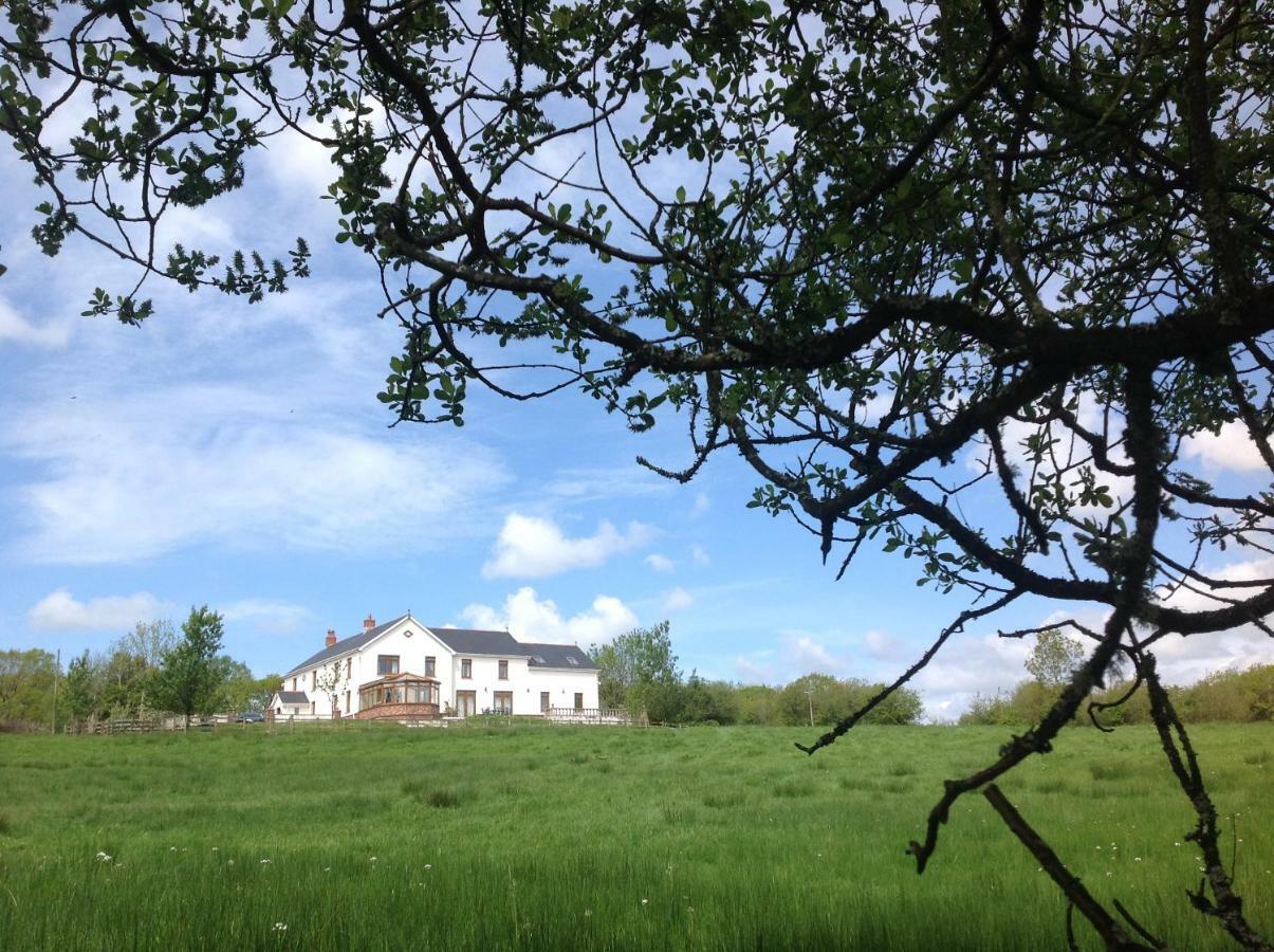 Penddaulwyn Uchaf Farm # Carmarthenshire Apartment Nantgaredig Exterior foto