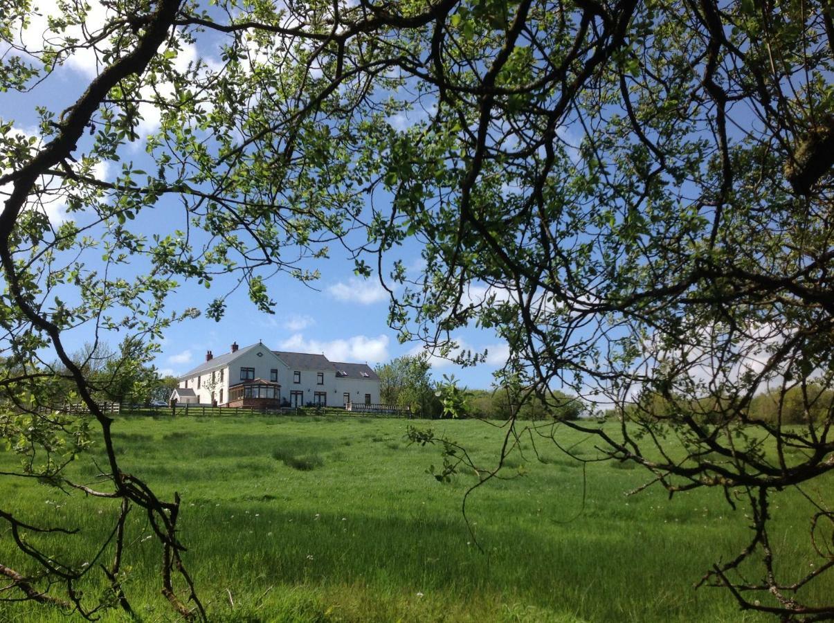 Penddaulwyn Uchaf Farm # Carmarthenshire Apartment Nantgaredig Exterior foto