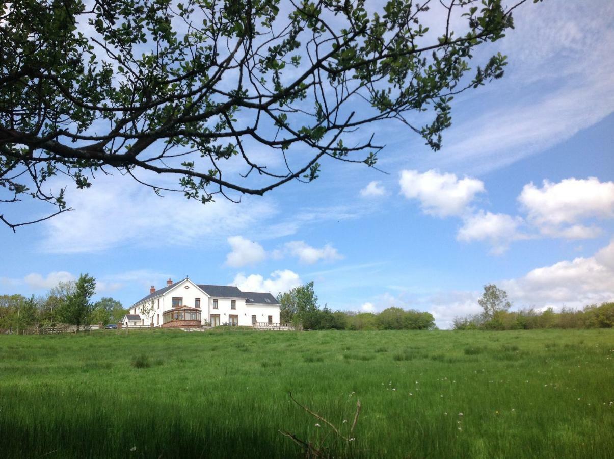 Penddaulwyn Uchaf Farm # Carmarthenshire Apartment Nantgaredig Exterior foto