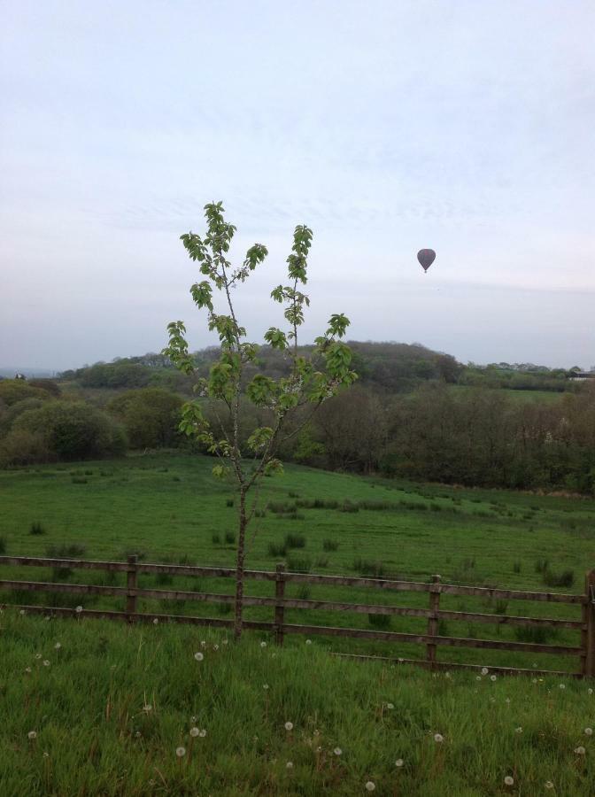 Penddaulwyn Uchaf Farm # Carmarthenshire Apartment Nantgaredig Exterior foto