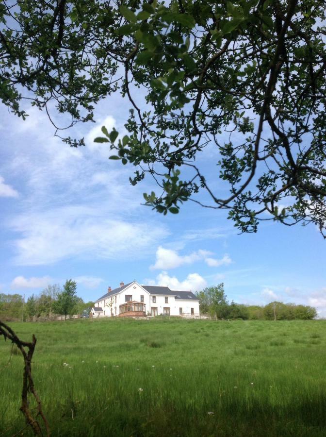 Penddaulwyn Uchaf Farm # Carmarthenshire Apartment Nantgaredig Exterior foto